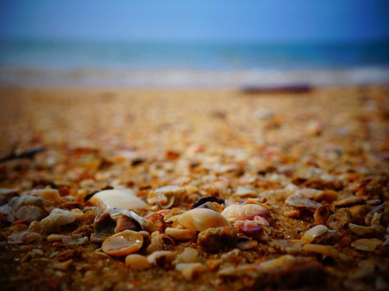 프라이빗 바비큐 & 다이닝